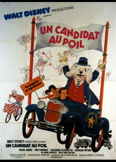 affiche du film UN CANDIDAT AU POIL