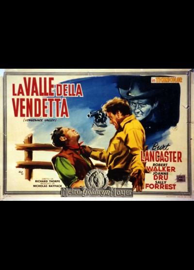 affiche du film VALLEE DE LA VENGEANCE (LA)