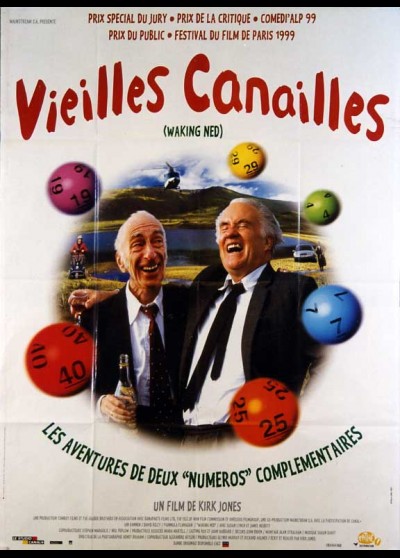 affiche du film VIEILLES CANAILLES