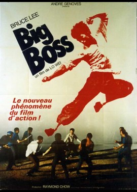 affiche du film BIG BOSS