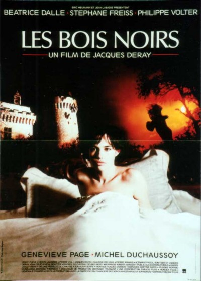affiche du film BOIS NOIRS (LES)