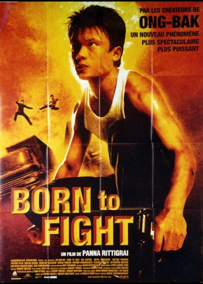 affiche du film BORN TO FIGHT