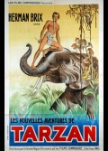 NOUVELLES AVENTURES DE TARZAN (LES)