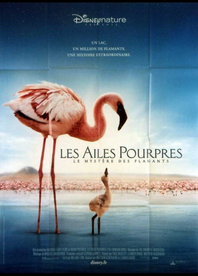 affiche du film AILES POURPRES LE MYSTERE DES FLAMANDS (LES)