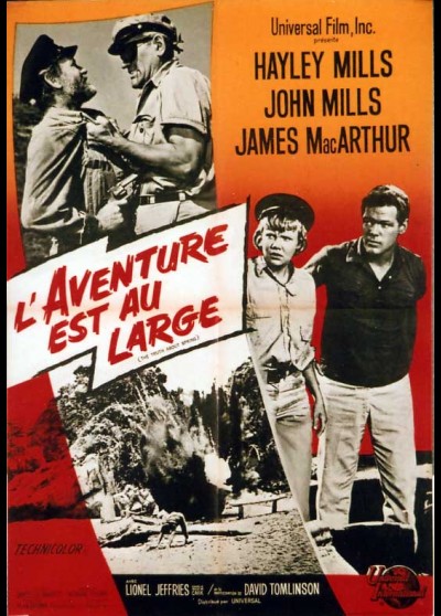 affiche du film AVENTURE EST AU LARGE (L')