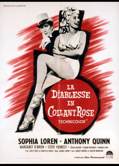 HELLER IN PINK TIGHTS movie poster