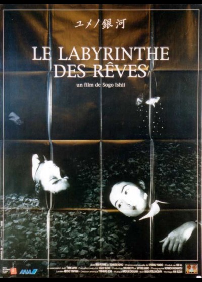 affiche du film LABYRINTHE DES REVES (LE)