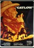 affiche du film CATLOW