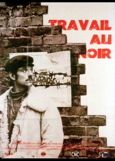affiche du film TRAVAIL AU NOIR