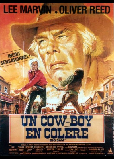 affiche du film UN COWBOY EN COLERE