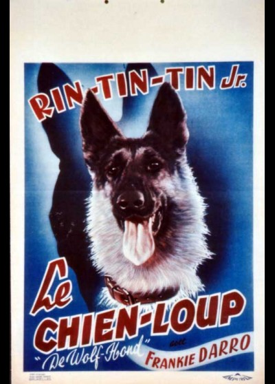 affiche du film CHIEN LOUP (LE)