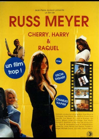 affiche du film CHERRY HARRY ET RAQUEL