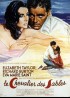 affiche du film CHEVALIER DES SABLES (LE)