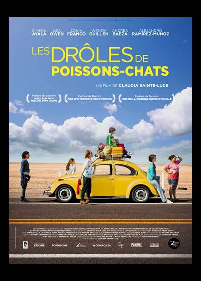 affiche du film DROLES DE POISSONS CHATS (LES)