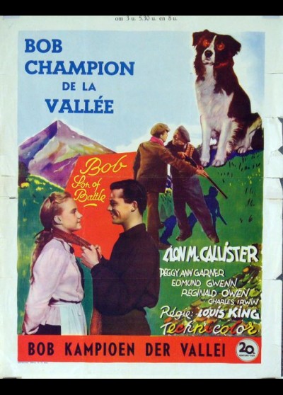 affiche du film BOB CHAMPION DE LA VALLEE