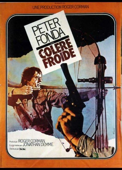 affiche du film COLERE FROIDE