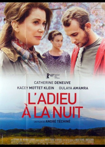 affiche du film ADIEU A LA NUIT (L')