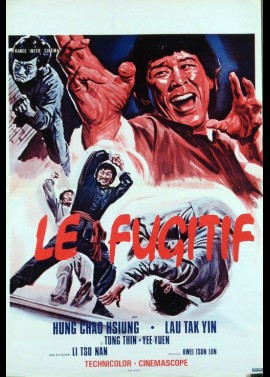 affiche du film FUGITIF (LE)