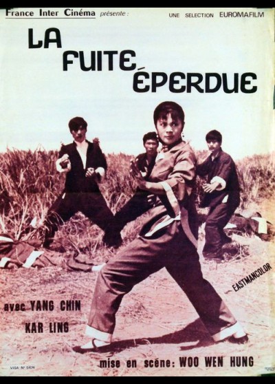 affiche du film FUITE EPERDUE (LA)