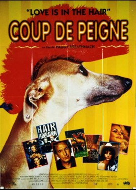 affiche du film COUP DE PEIGNE