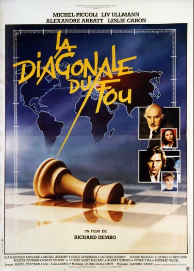 affiche du film DIAGONALE DU FOU (LA)