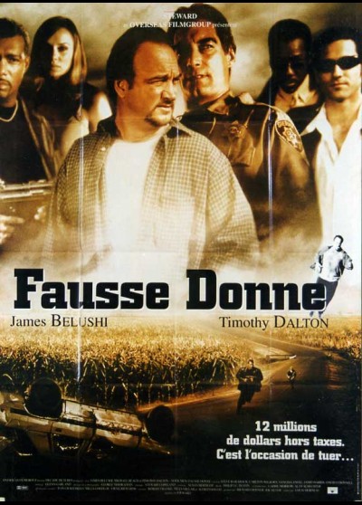 affiche du film FAUSSE DONNE