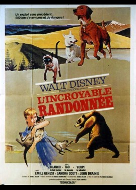 affiche du film INCROYABLE RANDONNEE (L')