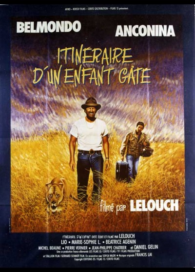 affiche du film ITINERAIRE D'UN ENFANT GATE