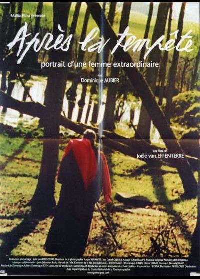 APRES LA TEMPETE movie poster