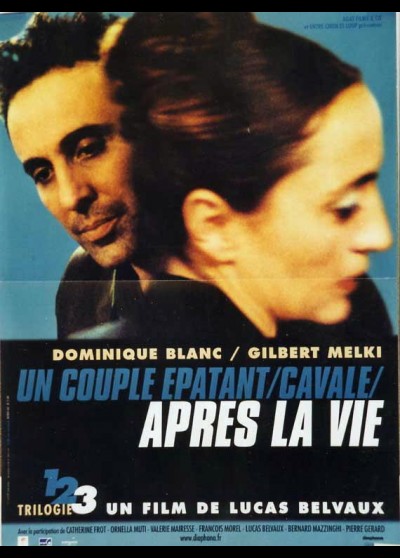 affiche du film APRES LA VIE