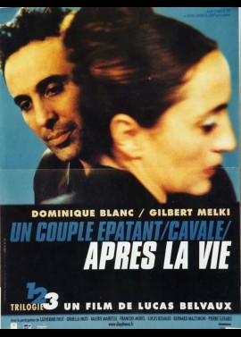 affiche du film APRES LA VIE