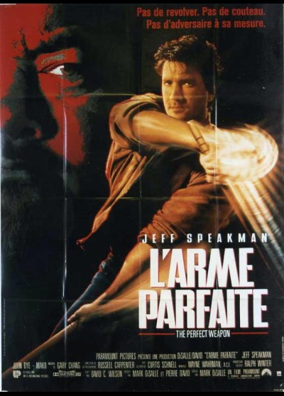 affiche du film ARME PARFAITE (L')