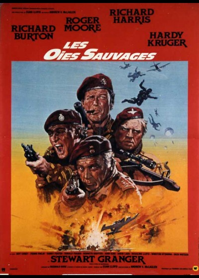 affiche du film OIES SAUVAGES (LES)