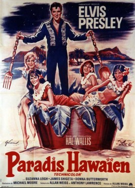 affiche du film PARADIS HAWAIEN