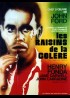 affiche du film RAISINS DE LA COLERE (LES)