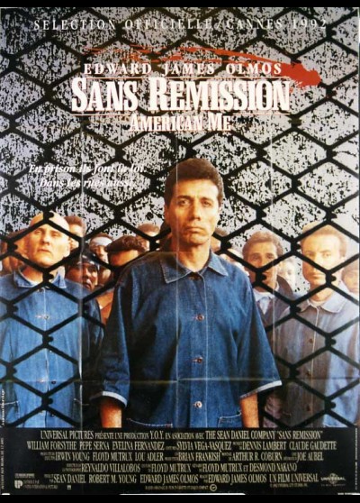 affiche du film SANS REMISSION